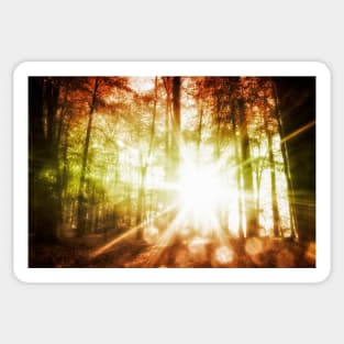 Woodland Sunburst Sticker